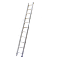 Push-Up Extension Ladder